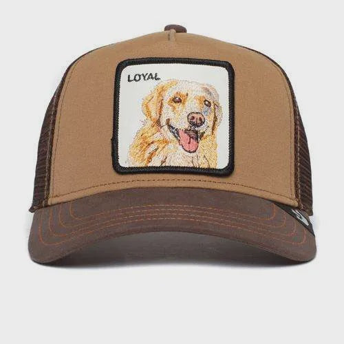 GOORIN BROS The Loyal Dog- Brown